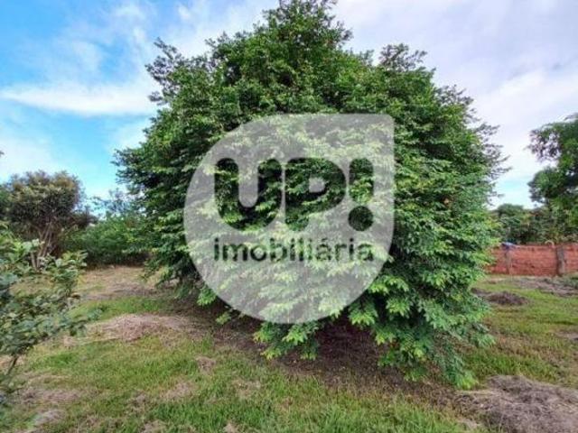 Sítio e chácara venda em Região Imediata de Piracicaba, Região Metropolitana de Piracicaba