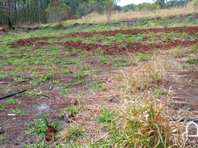 Sítio e chácara venda em Doutor Camargo, Região Geográfica Intermediária de Maringá