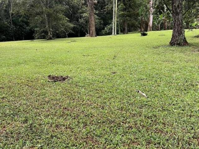 Sítio e chácara venda em Região Imediata de São Paulo, Região Metropolitana de São Paulo