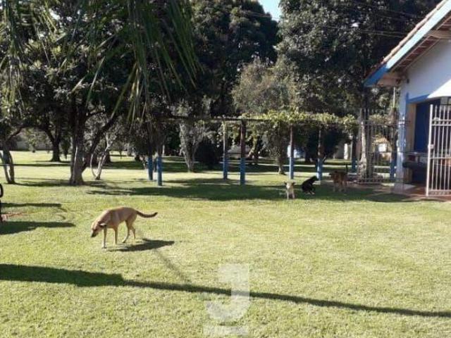 Sítio e chácara venda em Região Imediata de São João da Boa Vista, Aguaí