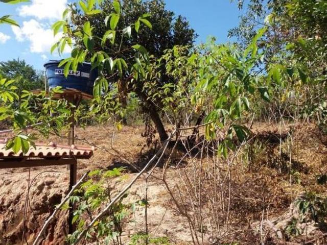 Sítio e chácara venda em Região Geográfica Imediata de Belo Horizonte, Região Metropolitana de Belo Horizonte