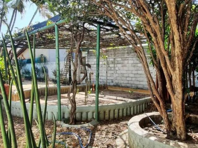 Sítio e chácara venda em Região Imediata de São José do Rio Preto, Região Metropolitana de São José do Rio Preto
