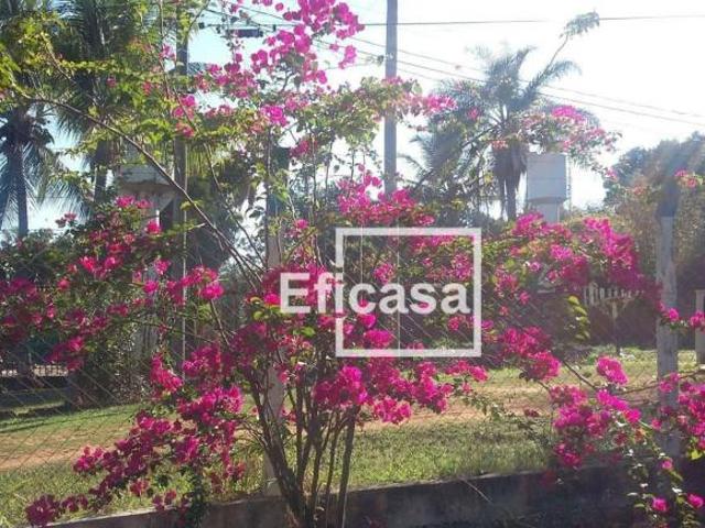 Sítio e chácara venda em Região Imediata de São José do Rio Preto, Região Metropolitana de São José do Rio Preto