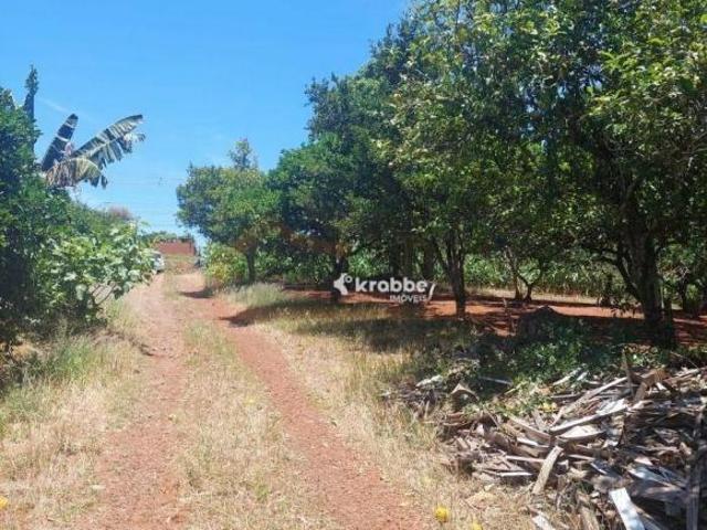 Sítio e chácara venda em Região Geográfica Imediata de Lajeado, Estrela