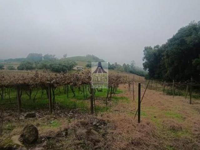 Sítio e chácara venda em Região Geográfica Imediata de Caxias do Sul, Flores da Cunha