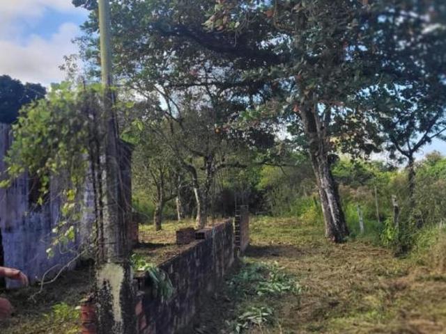 Sítio e chácara venda em Região Imediata de Santos, Região Metropolitana da Baixada Santista