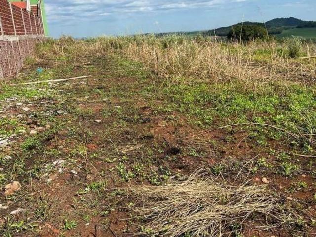 Sítio e chácara venda em Região Geográfica Imediata de Maringá, Maringá