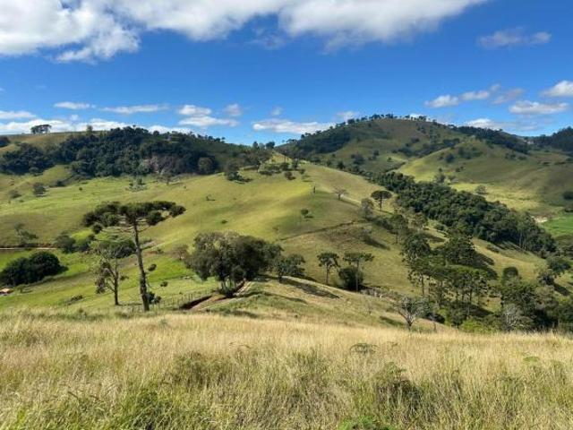 Sítio e chácara venda em Gonçalves