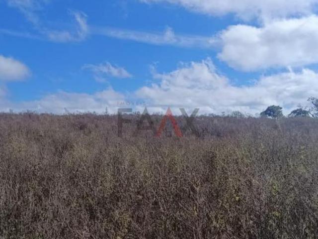 Sítio e chácara venda em Guairacá, Guarapuava