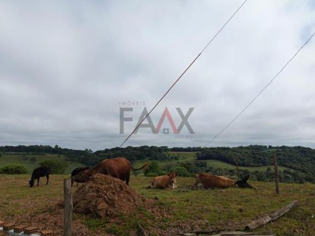 Sítio e chácara venda em Região Geográfica Imediata de Guarapuava, Guarapuava