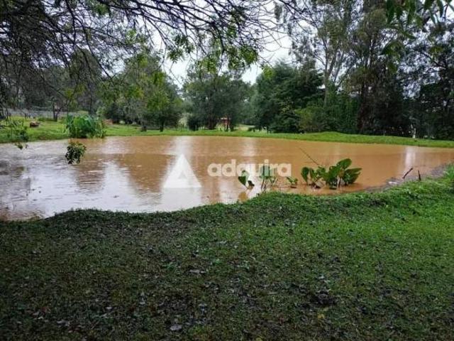 Sítio e chácara venda em Região Geográfica Imediata de Ponta Grossa, Ponta Grossa
