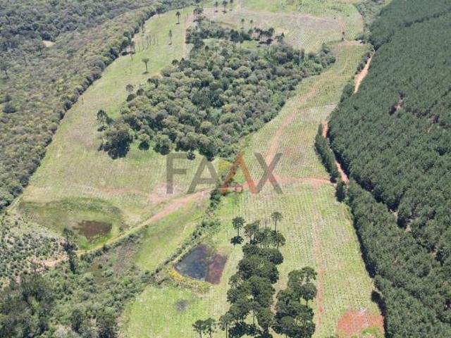 Sítio e chácara venda em Guarapuava, Região Geográfica Intermediária de Guarapuava