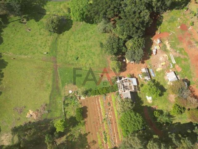 Sítio e chácara venda em Região Geográfica Imediata de Guarapuava, Guarapuava