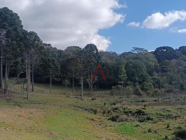 Sítio e chácara venda em Guarapuava, Região Geográfica Intermediária de Guarapuava