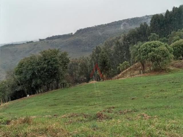 Sítio e chácara venda em Região Geográfica Imediata de Guarapuava, Guarapuava