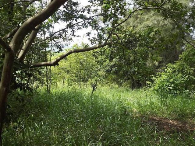 Sítio e chácara venda em Guaratinguetá, Região Geográfica Intermediária de São José dos Campos