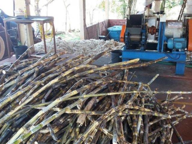 Sítio e chácara venda em Região Geográfica Imediata de Londrina, Londrina