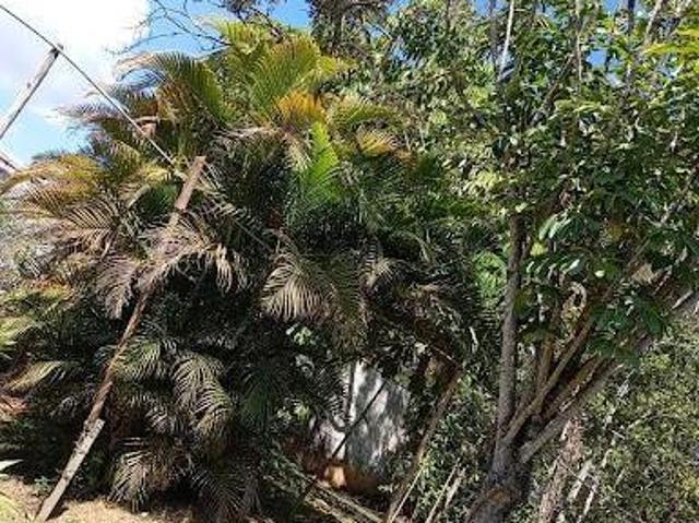 Sítio e chácara venda em Região Imediata de São Paulo, Região Metropolitana de São Paulo