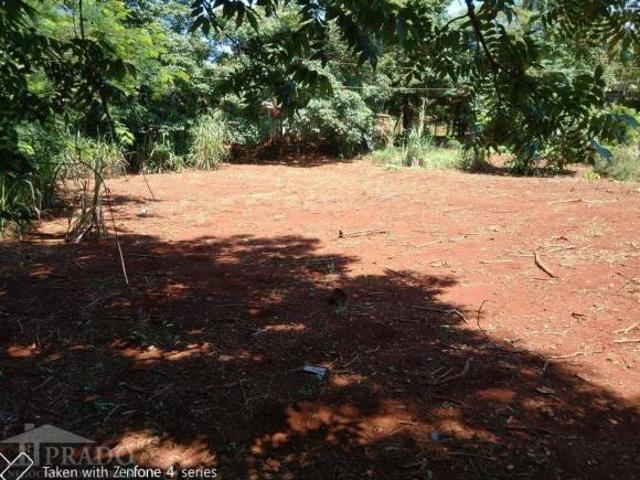 Sítio e chácara venda em Região Geográfica Imediata de Londrina, Ibiporã