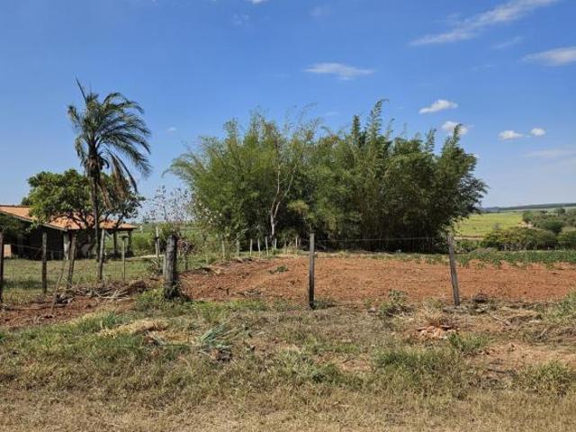 Sítio e chácara venda em Região Imediata de São José do Rio Preto, Região Metropolitana de São José do Rio Preto