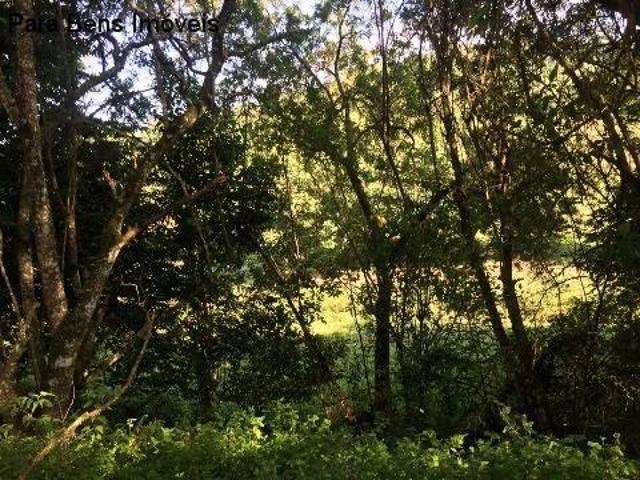 Sítio e chácara venda em Capim Azedo, Ibiúna