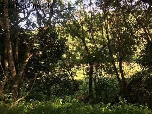 Sítio e chácara venda em Região Imediata de Sorocaba, Região Metropolitana de Sorocaba