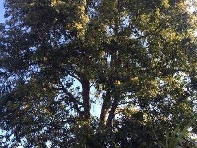 Sítio e chácara venda em Região Imediata de Sorocaba, Região Metropolitana de Sorocaba