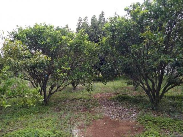 Sítio e chácara venda em Região Imediata de Sorocaba, Região Metropolitana de Sorocaba