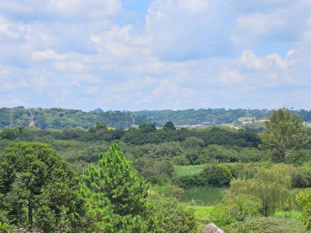 Sítio e chácara venda em Região Geográfica Imediata de Curitiba, Região Metropolitana de Curitiba