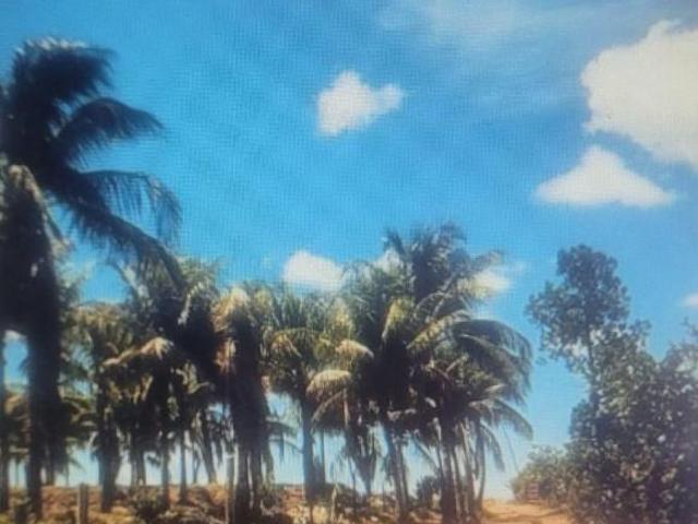 Sítio e chácara venda em Iguaraçu, Região Geográfica Intermediária de Maringá