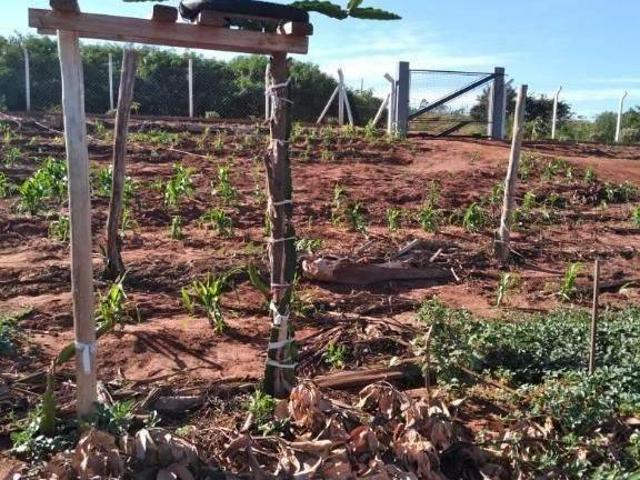 Sítio e chácara venda em Iguaraçu, Região Geográfica Intermediária de Maringá