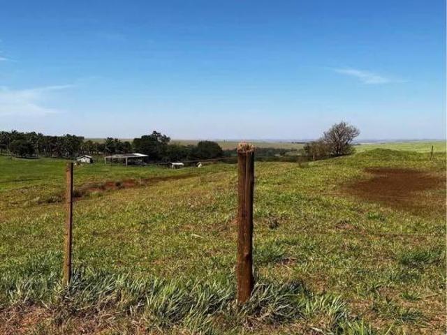 Sítio e chácara venda em Região Geográfica Imediata de Maringá, Iguaraçu