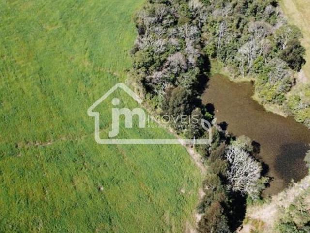 Sítio e chácara venda em Região Geográfica Imediata de Curitiba, Região Metropolitana de Curitiba