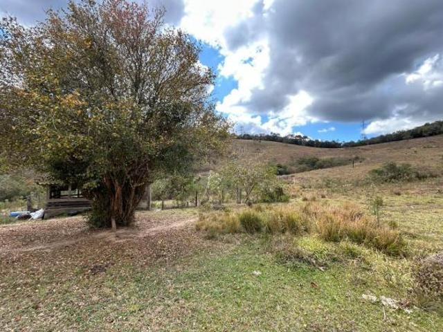 Sítio e chácara venda em Região Geográfica Imediata de Santa Bárbara - Ouro Preto, Itabirito