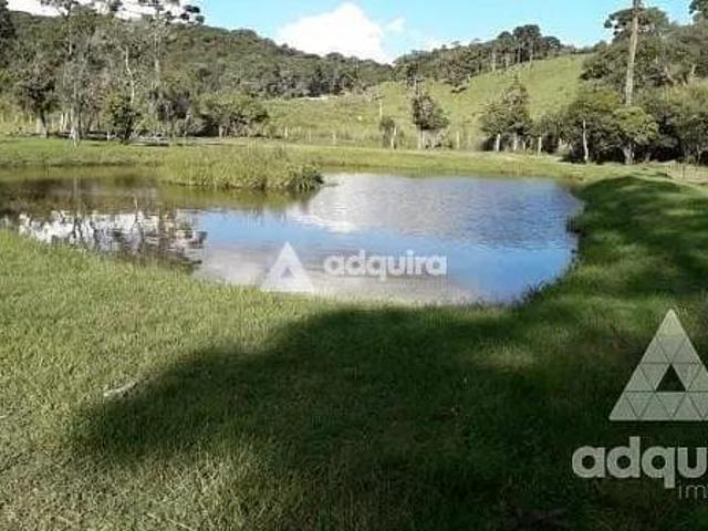 Sítio e chácara venda em Região Geográfica Imediata de Ponta Grossa, Ponta Grossa