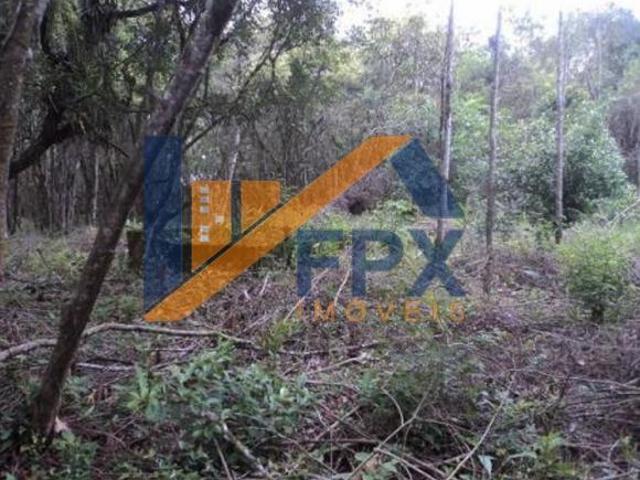 Sítio e chácara venda em Região Imediata de Santos, Região Metropolitana da Baixada Santista
