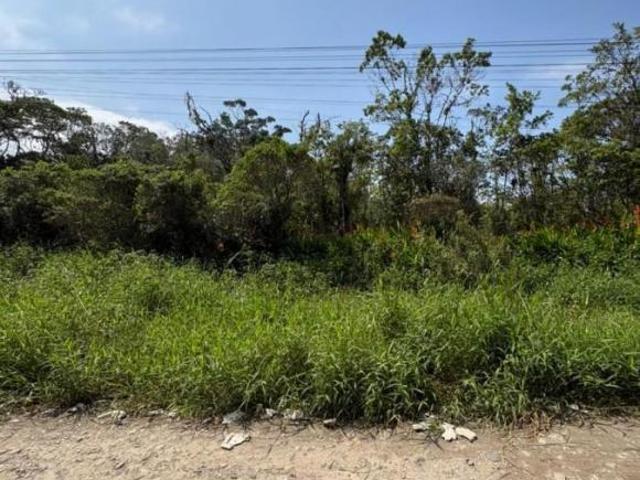 Sítio e chácara venda em Região Imediata de Santos, Região Metropolitana da Baixada Santista