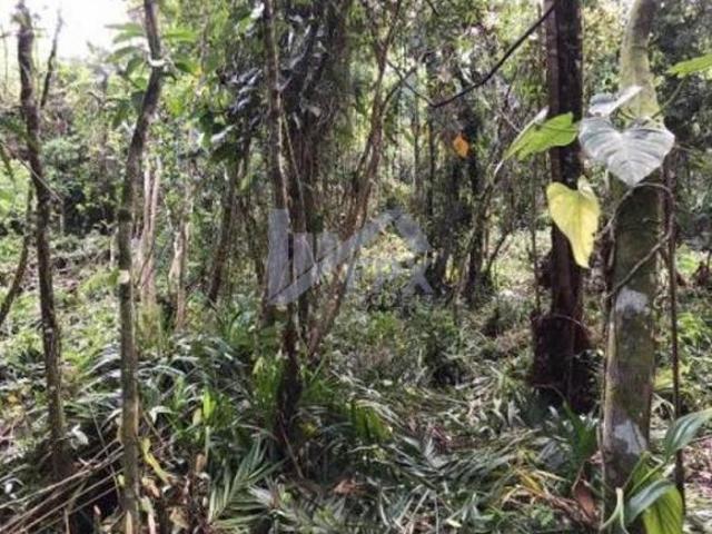 Sítio e chácara venda em Região Imediata de Santos, Região Metropolitana da Baixada Santista