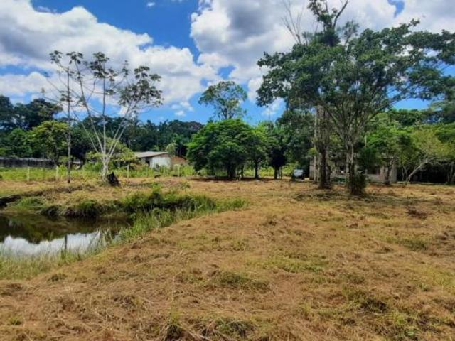 Sítio e chácara venda em Região Imediata de Santos, Região Metropolitana da Baixada Santista