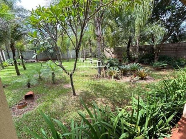 Sítio e chácara venda em Região Imediata de Ribeirão Preto, Região Metropolitana de Ribeirão Preto