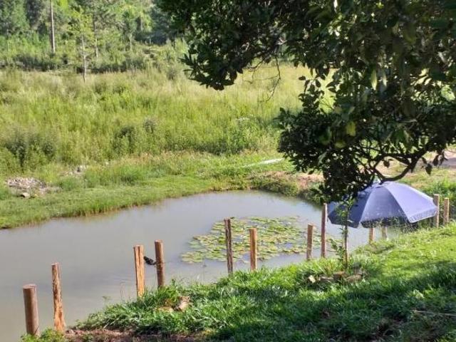 Sítio e chácara venda em Região Imediata de Itapeva, Itapeva