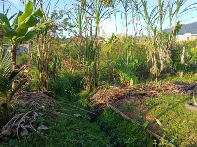 Sítio e chácara venda em Ana Dias, Itariri