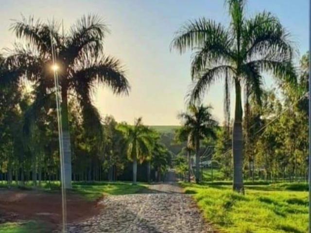 Sítio e chácara venda em Região Geográfica Imediata de Maringá, Ivatuba