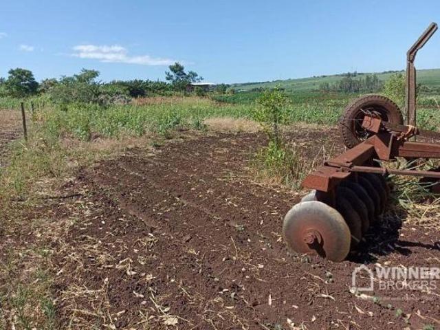 Sítio e chácara venda em Região Geográfica Imediata de Maringá, Maringá