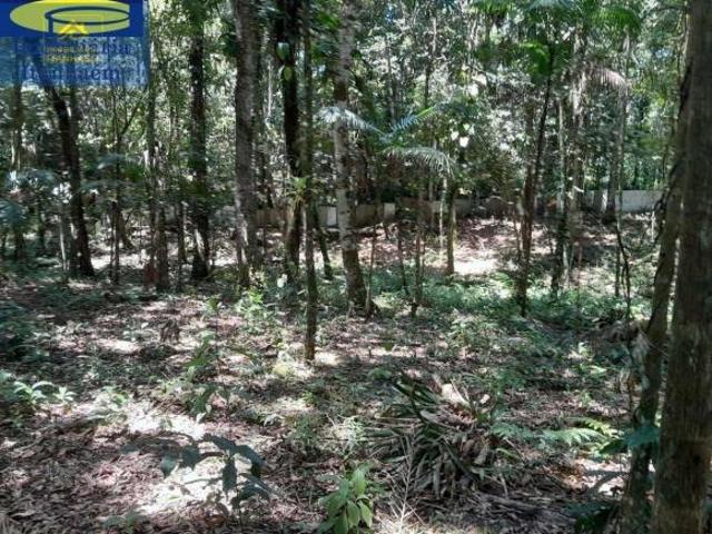 Sítio e chácara venda em Região Imediata de Santos, Região Metropolitana da Baixada Santista
