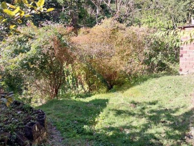 Sítio e chácara venda em Jardim das Cerejeiras, Arujá