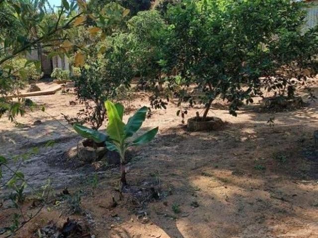 Sítio e chácara venda em Vilhena, Região Norte