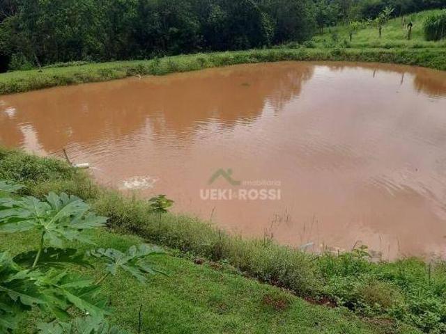 Sítio e chácara venda em Região Geográfica Imediata de Londrina, Londrina
