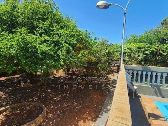 Sítio e chácara venda em Região Imediata de Ribeirão Preto, Região Metropolitana de Ribeirão Preto