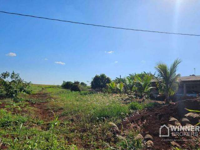 Sítio e chácara venda em Região Geográfica Imediata de Maringá, Maringá